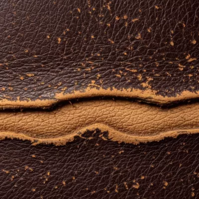 Imagen PNG para descargar